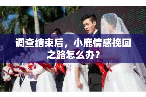 调查结束后，小鹿情感挽回之路怎么办？