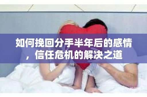 如何挽回分手半年后的感情，信任危机的解决之道