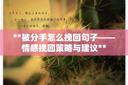 **被分手怎么挽回句子——情感挽回策略与建议**