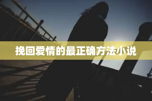挽回爱情的最正确方法小说