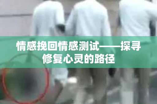 情感挽回情感测试——探寻修复心灵的路径