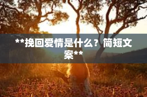 **挽回爱情是什么？简短文案**