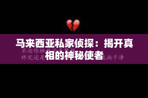马来西亚私家侦探：揭开真相的神秘使者