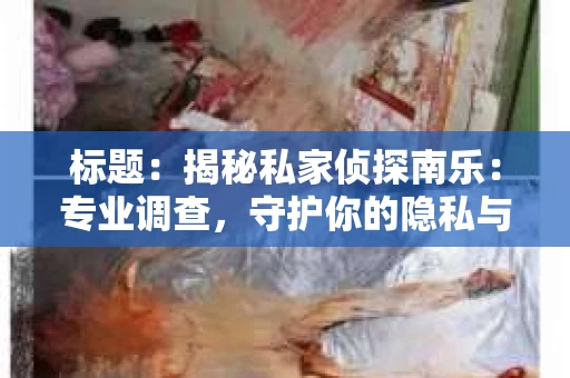标题：揭秘私家侦探南乐：专业调查，守护你的隐私与权益