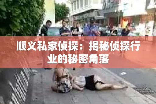 顺义私家侦探：揭秘侦探行业的秘密角落