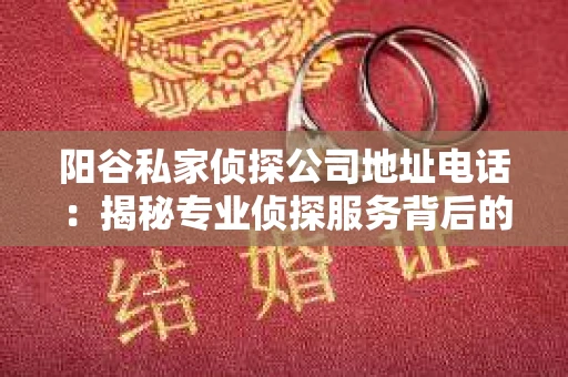 阳谷私家侦探公司地址电话：揭秘专业侦探服务背后的故事