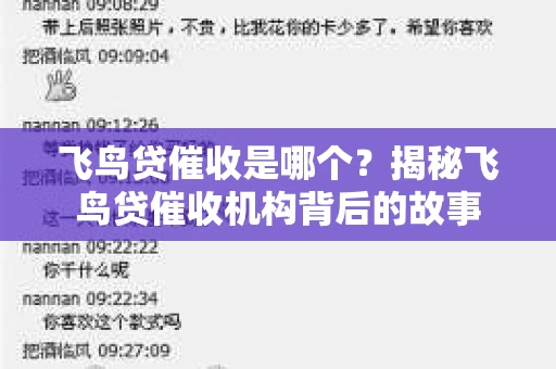 飞鸟贷催收是哪个？揭秘飞鸟贷催收机构背后的故事