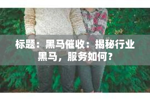 标题：黑马催收：揭秘行业黑马，服务如何？
