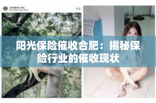 阳光保险催收合肥：揭秘保险行业的催收现状