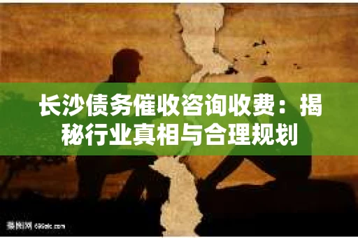 长沙债务催收咨询收费：揭秘行业真相与合理规划