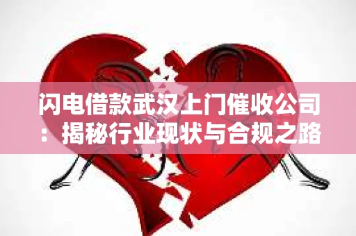 闪电借款武汉上门催收公司：揭秘行业现状与合规之路