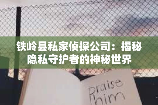 铁岭县私家侦探公司：揭秘隐私守护者的神秘世界
