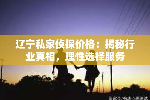 辽宁私家侦探价格：揭秘行业真相，理性选择服务