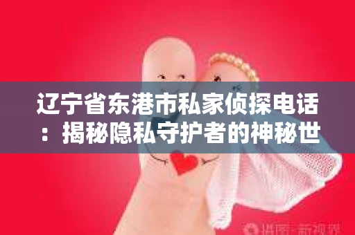 辽宁省东港市私家侦探电话：揭秘隐私守护者的神秘世界
