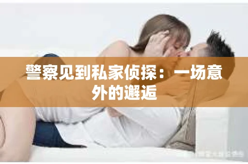 警察见到私家侦探:一场意外的邂逅 警察见到私家侦探:一场意外的邂逅