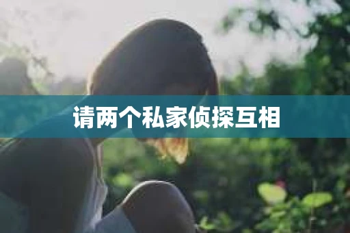 请两个私家侦探互相