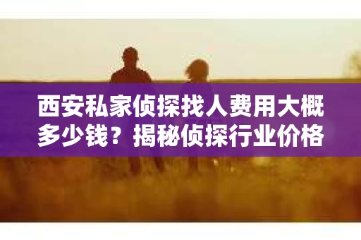 西安私家侦探找人费用大概多少钱？揭秘侦探行业价格之谜