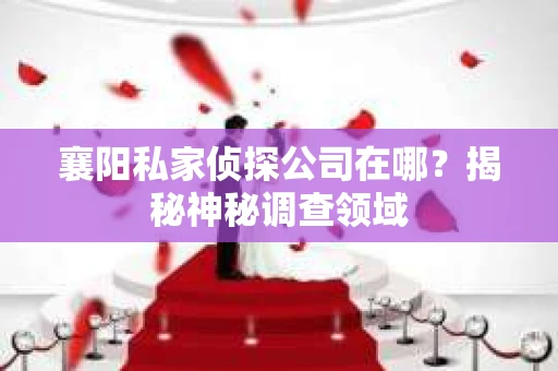 襄阳私家侦探公司在哪？揭秘神秘调查领域