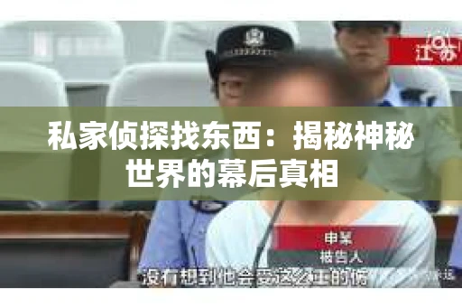 私家侦探找东西：揭秘神秘世界的幕后真相