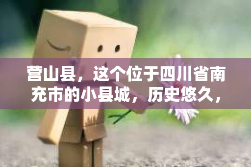 营山县，这个位于四川省南充市的小县城，历史悠久，风景秀丽。但在这个宁静的小县城里，你是否会好奇，有没有私家侦探的存在呢？今天，我就来和大家聊聊这个话题。