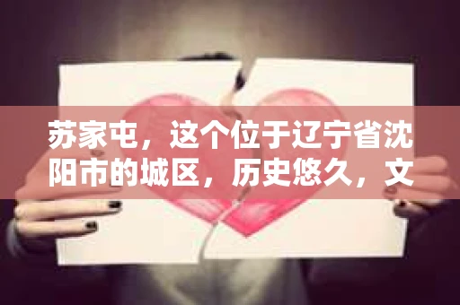 苏家屯，这个位于辽宁省沈阳市的城区，历史悠久，文化底蕴深厚。近年来，随着社会的发展，人们对于私家侦探的需求也逐渐增加。那么，苏家屯有私家侦探吗？今天，我们就来聊聊这个话题。