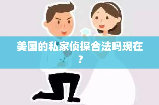 美国的私家侦探合法吗现在？