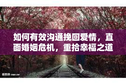 如何有效沟通挽回爱情,直面婚姻危机,重拾幸福之道 如何有效沟通挽回爱情,直面婚姻危机,重拾幸福之道