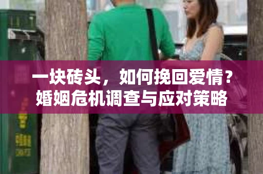 一块砖头，如何挽回爱情？婚姻危机调查与应对策略