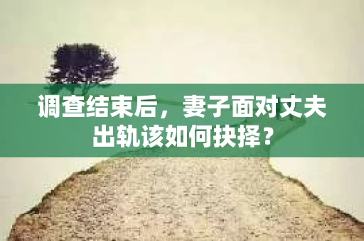 调查结束后,妻子面对丈夫出轨该如何抉择? 调查结束后,妻子面对丈夫出轨该如何抉择?