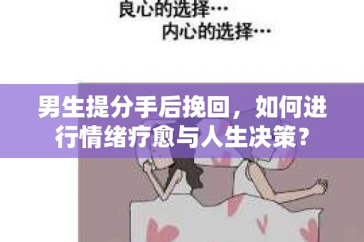 男生提分手后挽回，如何进行情绪疗愈与人生决策？