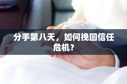 分手第八天，如何挽回信任危机？