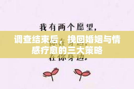 调查结束后，挽回婚姻与情感疗愈的三大策略