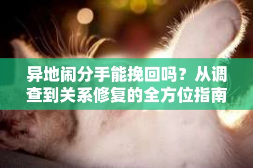 异地闹分手能挽回吗？从调查到关系修复的全方位指南