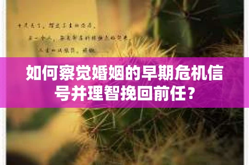如何察觉婚姻的早期危机信号并理智挽回前任？